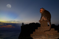 Uluwatu Monkey Forest