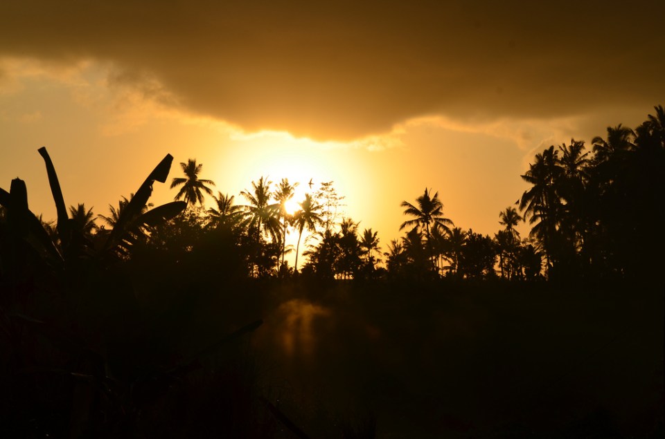 Ubud, Bali at dusk